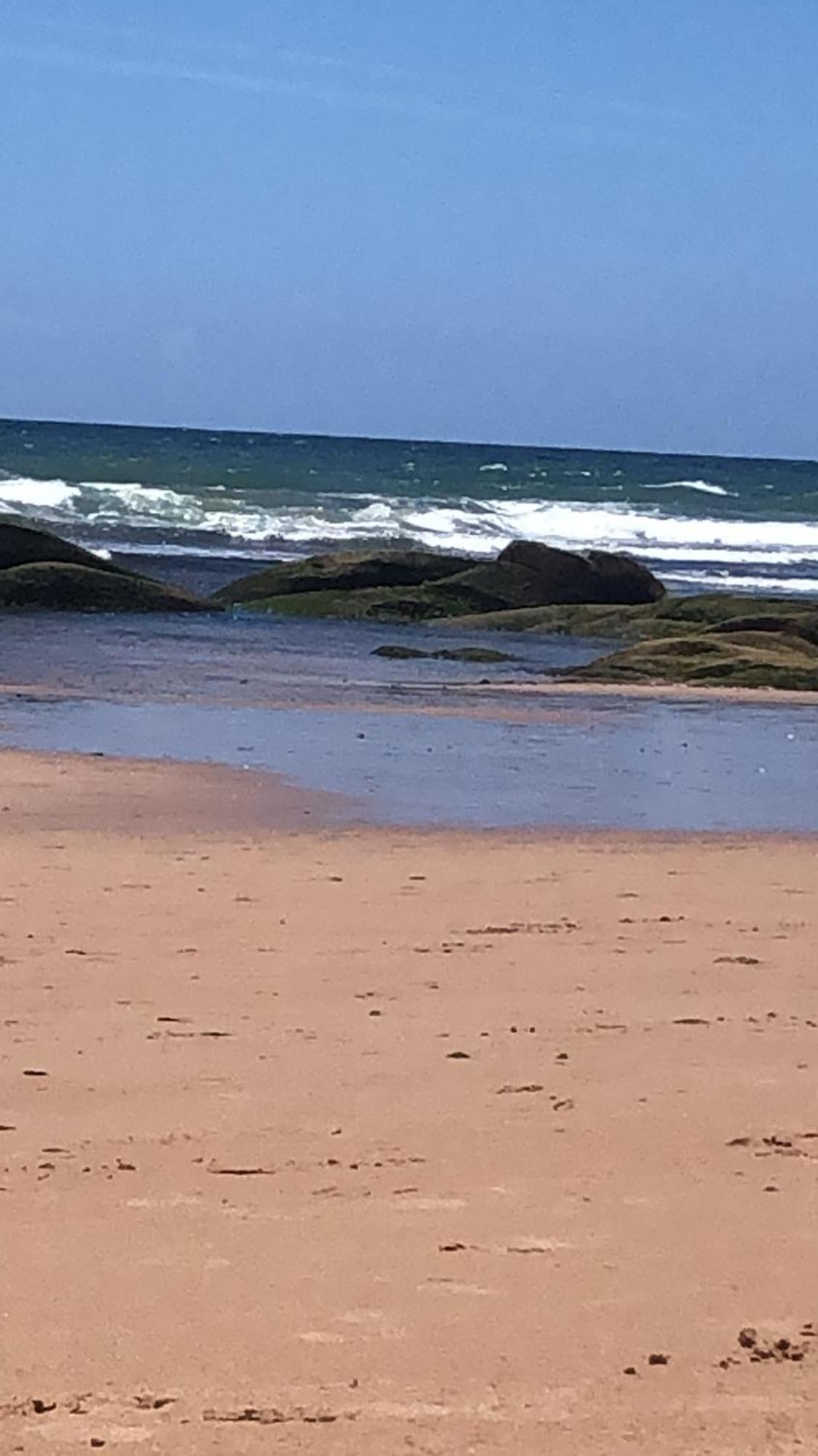 Apartamento Do Flamengo - Frente Mar *